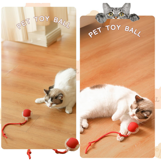 Chewie Smart Rolling Ball – USB Rechargeable Interactive Toy for Cats & Dogs