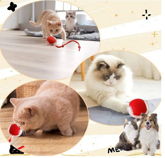 Chewie Smart Rolling Ball – USB Rechargeable Interactive Toy for Cats & Dogs